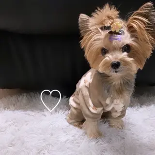 ネイル Legit nail salonのネイルデザイン