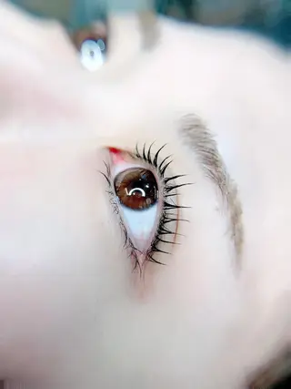 マツエク・マツパ Fave【フェイブ】 まつパ/眉毛/メンズのマツエク・マツパデザイン