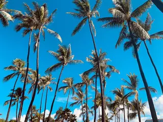 𝐘𝐎𝐒𝐇𝐈 𝐌𝐈🌞🏝のマツエク・マツパデザイン