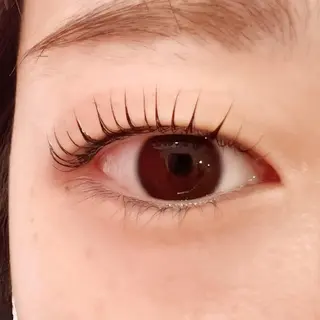 マツエク・マツパ Celeste Venus所属・🧸Celeste Venusのマツエク・マツパデザイン