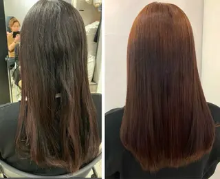 セミロング カラー ウルフ・ハイレイヤー 🌟ナカノ・ユウヤのヘアスタイル