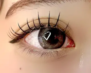 マツエク・マツパ Celeste Venus所属・🧸Celeste Venusのマツエク・マツパデザイン