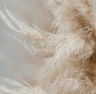 マツエク・マツパ まつえく屋さん 【M A L O】のマツエク・マツパデザイン