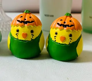 今野 弥沙子のエステ・リラクイメージ