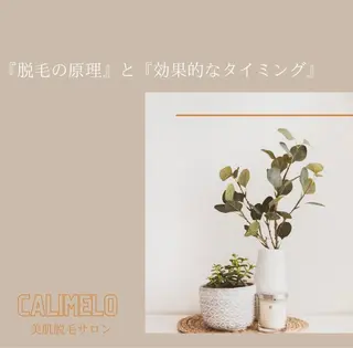 calimelo所属・calimero 美肌脱毛サロンの眉毛・アイブロウイメージ