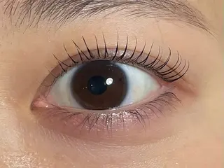 マツエク・マツパ Sol フジイのマツエク・マツパデザイン