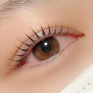 マツエク・マツパ 京橋/束感まつ毛& LED🦋藤本加奈のマツエク・マツパデザイン