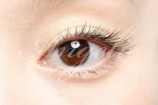 マツエク・マツパ マツエク・マツパ 募集のマツエク・マツパデザイン