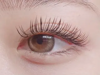 マツエク・マツパ 須藤 菜々の眉毛・アイブロウイメージ