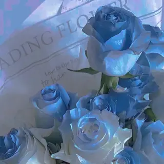 丸山 知夏のマツエク・マツパデザイン