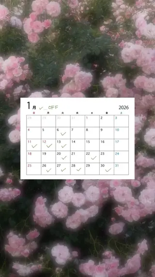 カラー uni/haruhi ☀️透明感カラーのヘアスタイル