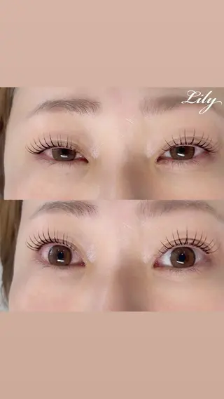 マツエク・マツパ Lily まつ毛専門店のマツエク・マツパデザイン