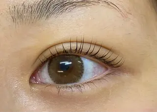 マツエク・マツパ 🌼Alba🌼 犬馬塲のマツエク・マツパデザイン