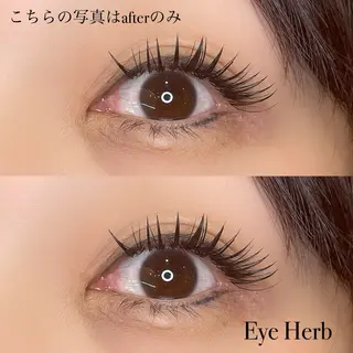 マツエク・マツパ Eye Herb beauty salon所属・♡ Mireiのマツエク・マツパデザイン