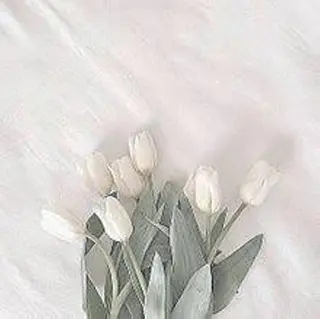 マツコのまつ育サロン 埼玉大宮店のマツエク・マツパデザイン