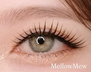 マツエク・マツパ Mellow Mew 酒見あきのマツエク・マツパデザイン