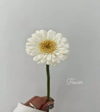 🌻花屋併設🌻濱 幸帆のヘアスタイル