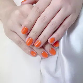 カラー ネイル 𓂃🦢Aurora Swan🌙𓂃のネイルデザイン