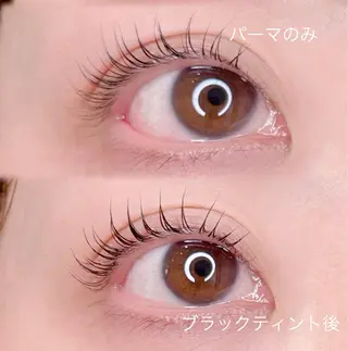 マツエク・マツパ 新柏PALS ｍｉｈｏのマツエク・マツパデザイン