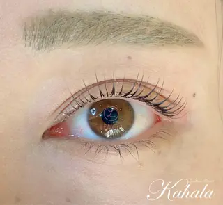 マツエク・マツパ NISAKA 🦸🏻‍♀️のマツエク・マツパデザイン