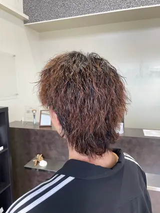 ショート パーマ メンズ 加藤 舜稀のヘアスタイル