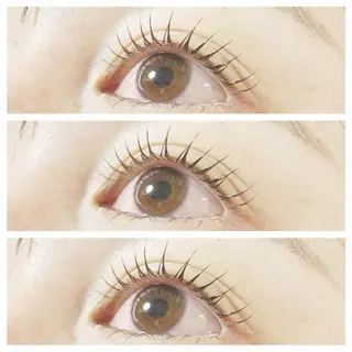 マツエク・マツパ plume eyelashのマツエク・マツパデザイン