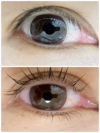 マツエク・マツパ Plume micoのマツエク・マツパデザイン