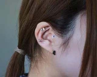 B.napus/mimi2bo所属・B.napus Nanohaのその他イメージ