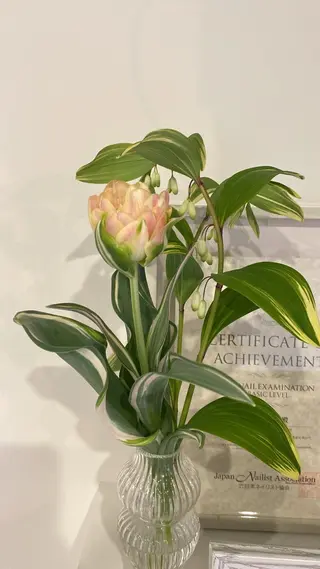 Private Salon S.Nail所属・S.Nail 𓏲⋆🪸.⋆⸜🫧のネイルデザイン