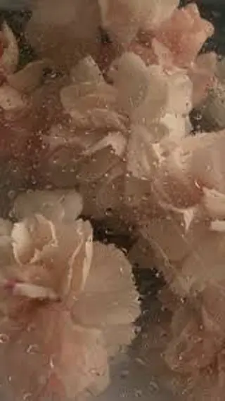 🦋 Natsumiのマツエク・マツパデザイン