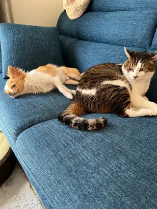 川畑 麗香のその他イメージ