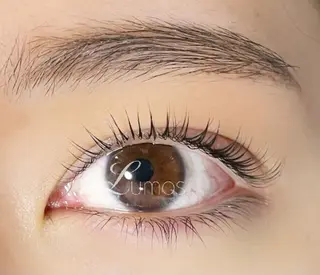 マツエク・マツパ Lumos nail&eyelash所属・Lumos Ayakaのマツエク・マツパデザイン