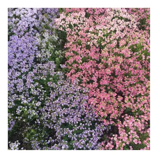 かみじょう ゆうこのヘアスタイル