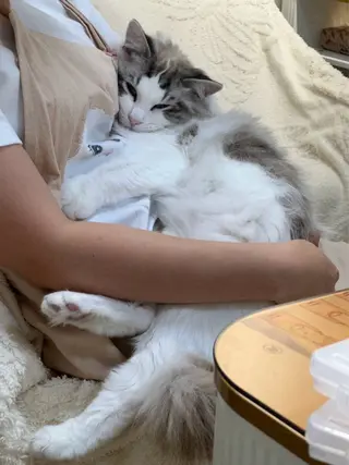 ネイル Sun Nail 池袋のネイルデザイン