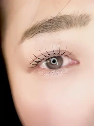 マツエク・マツパ eyelist. mizuki🐈‍⬛の眉毛・アイブロウイメージ