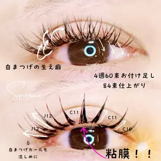 マツエク・マツパ Eyelash Spienicoのその他イメージ