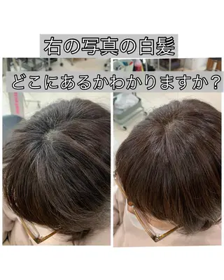 ショート カラー 白髪ぼかしハイライト 柳川拓哉のヘアスタイル