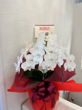 脂肪冷却&育毛促進 K&KOKOROのエステ・リラクイメージ