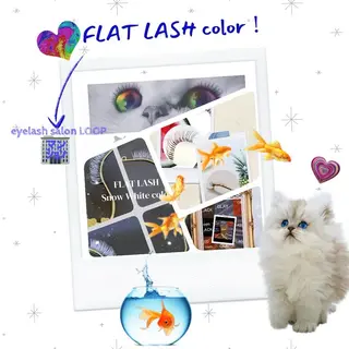 カラー マツエク・マツパ アイブロウ eyelash salonLoopꨄのマツエク・マツパデザイン