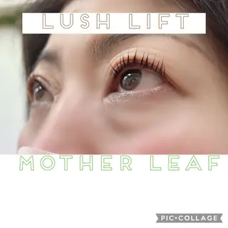 マツエク・マツパ Mother Leaf所属・MotherLeaf -mori-のマツエク・マツパデザイン