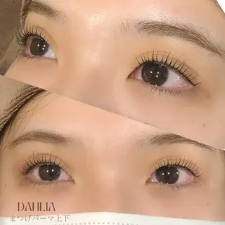 マツエク・マツパ Dahliaダリア 斉藤のマツエク・マツパデザイン