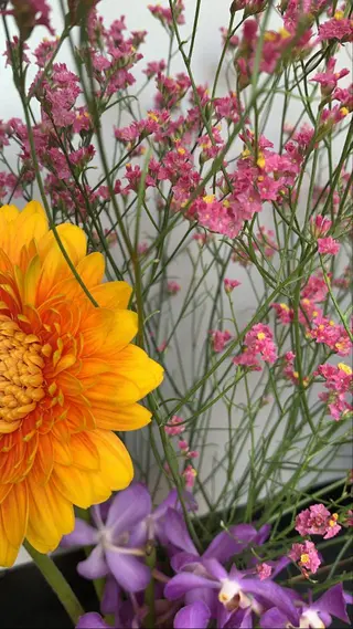 🫧 みゆ🫧のその他イメージ