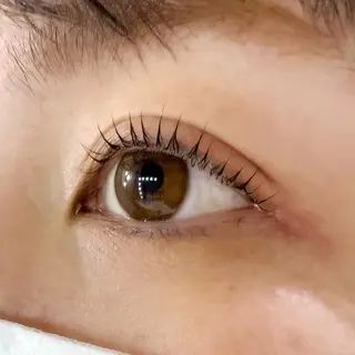 マツエク・マツパ Celeste Venus所属・🧸Celeste Venusのマツエク・マツパデザイン