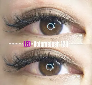 マツエク・マツパ LEDエクステ専門店 Fedis 京橋のマツエク・マツパデザイン