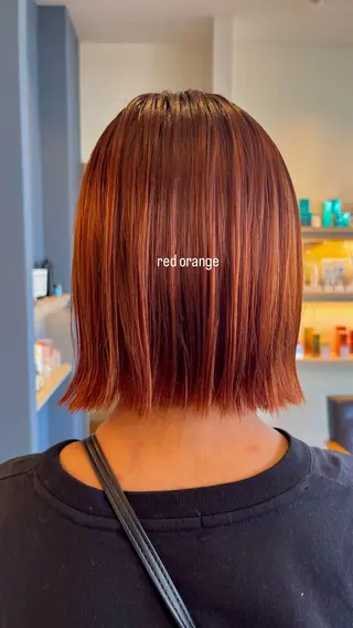 ミディアム カラー セジールヘアメゾン所属・韓国レイヤー/透明感 カラー🐈曾根高のヘアスタイル