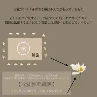 lymph care 'Welnəsのエステ・リラクイメージ