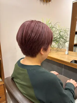 ショート 増田 枝里子のヘアスタイル