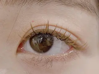 マツエク・マツパ Kuu+r 銀座並木通り店のマツエク・マツパデザイン