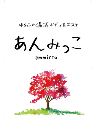 あんみっこ kitaのエステ・リラクイメージ