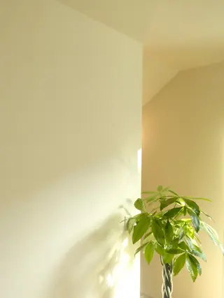 首肩整体| SORAのエステ・リラクイメージ